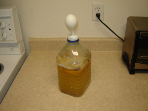 Alfalfa Orange Cinnamon Mead: One week and several clean-ups later